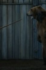 2RVD5pIIiv7ZH0qnazwVrsPEFpP