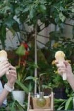 1nslapB2q7dz3vMmOgnmuQygNrS