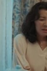 9lXK0U8e1cl5cH8LC6Xiru9WE2H