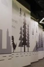 h6LSNs9tRIEL4T3706kpPu7jskq